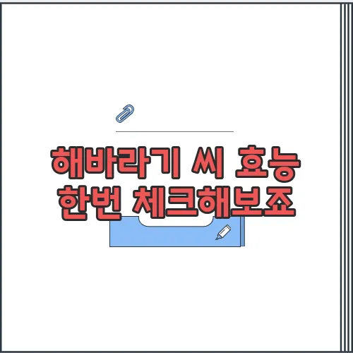 해바라기 씨 효능 한번 체크해보죠