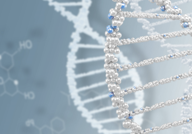 알지노믹스 이미지