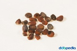 λ΄λ³΅μ μ¬μ§