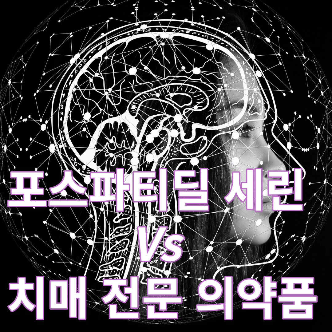 포스파티딜 세린 효능-분말 vs 치매 약