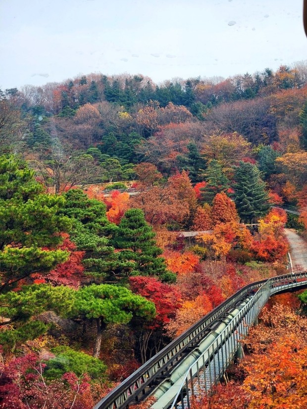 화담숲 단풍축제