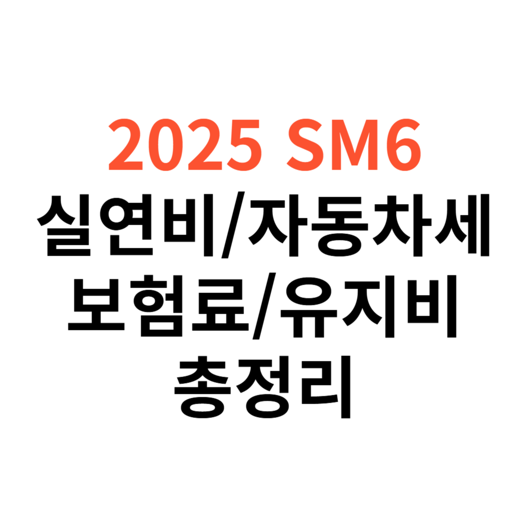 르노 SM6 차량