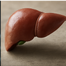 글루타치온 효능