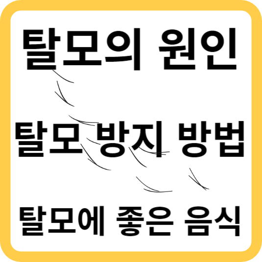 탈모의 원인 방지 좋은음식