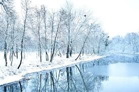 청년·노인 1인가구 필독! 2026년 정부 복지급여 리스트 공개