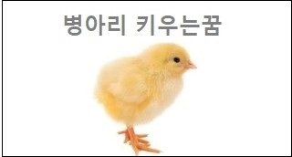 병아리 키우는꿈