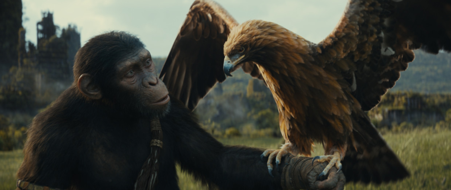 혹성탈출 새로운 시대 독수리