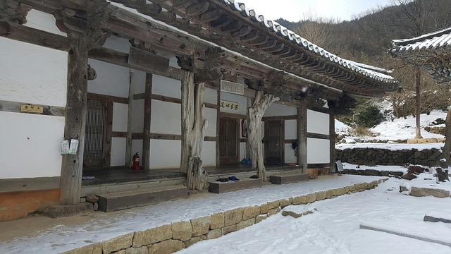 강아지랑 템플스테이? 반려견 가능한 사찰