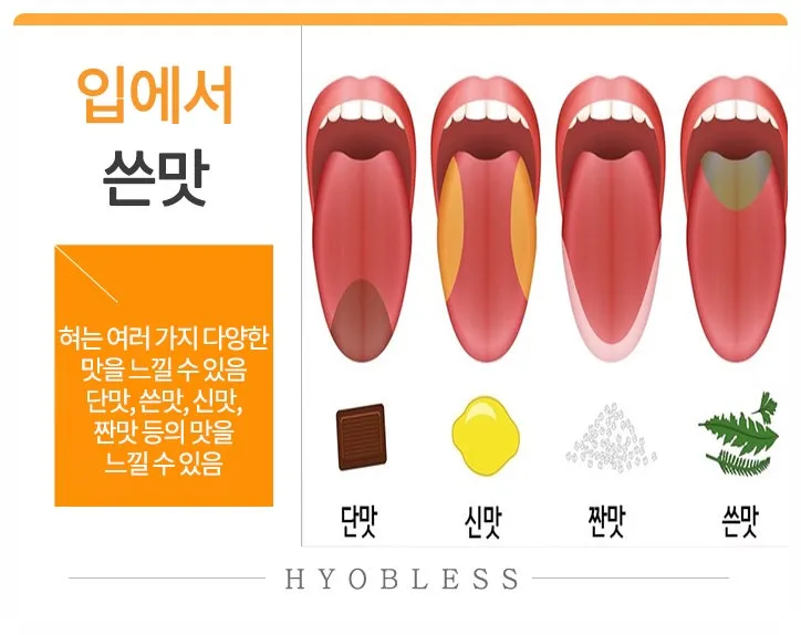 입이 쓴 증상 4가지 원인과 해결방법_6