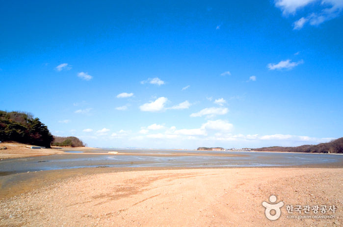 파란하늘 아래 갯벌이 있다.