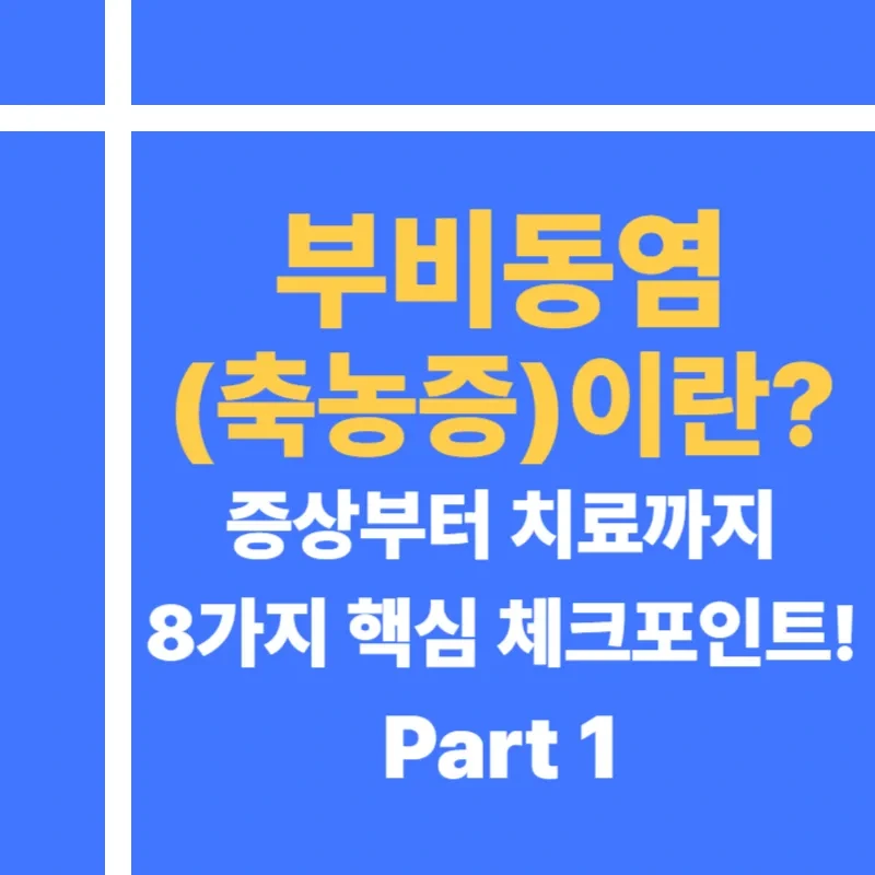 부비동염 증상