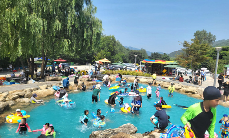 동해 무릉건강숲