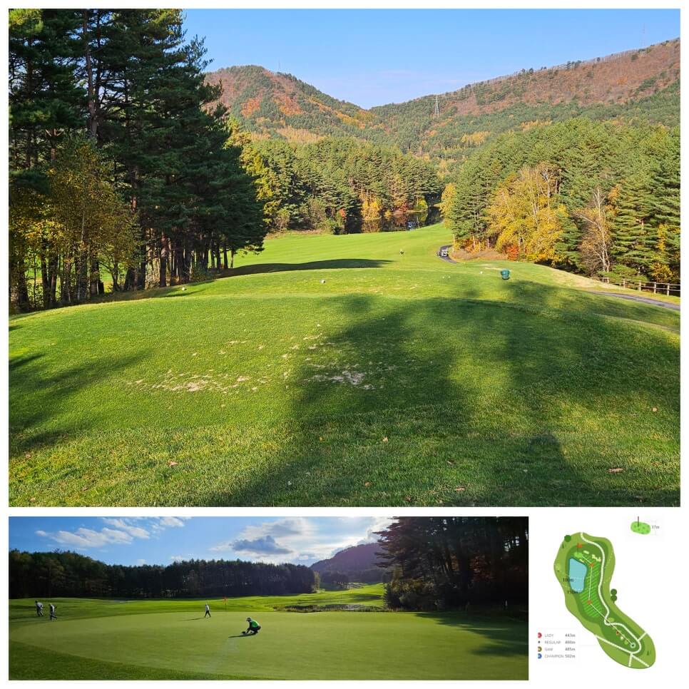골프장 경험담 모나용평cc 해발 780m 청정 지역의 골프장 용평 리조트