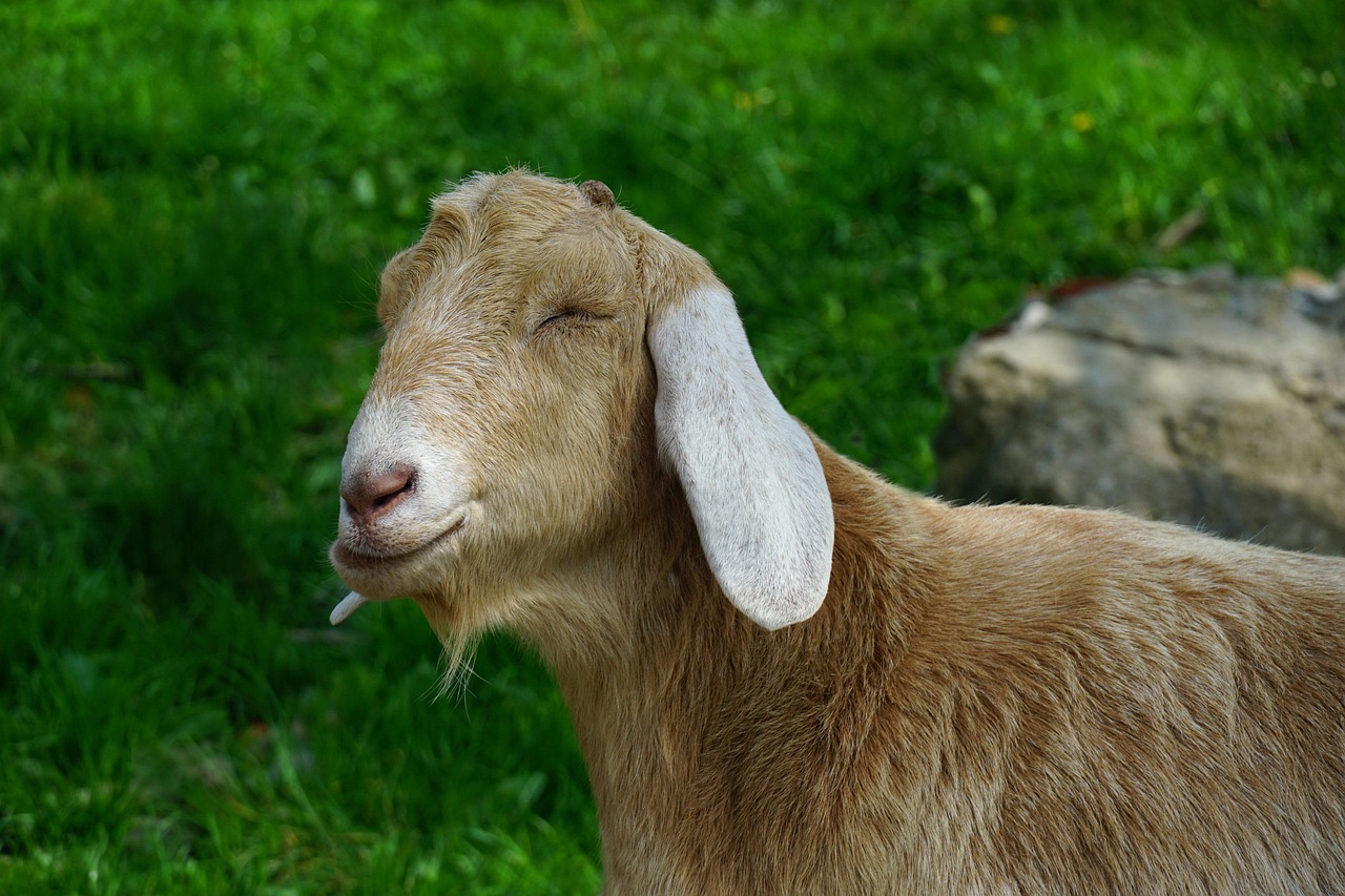 피로가 안 풀리는 이유 쉬어도 계속 피곤한 원인 정리