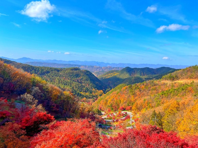 속리산 단풍시기