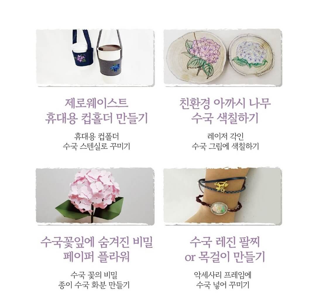 유구색동수국정원꽃축제