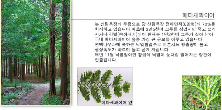 수종 안내