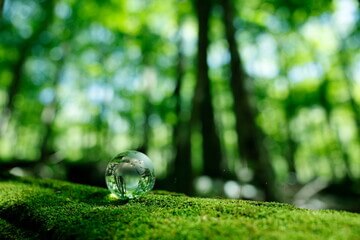 실생활 유용 가능한 공간 활용 꿀팁