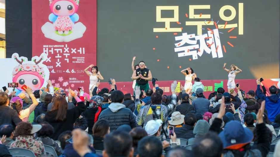 강서 낙동강30리 벚꽃축제 