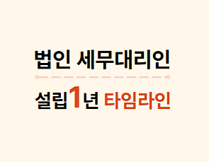 법인 설립 후 1년 타임라인|세무대리인 활용, 선택기준