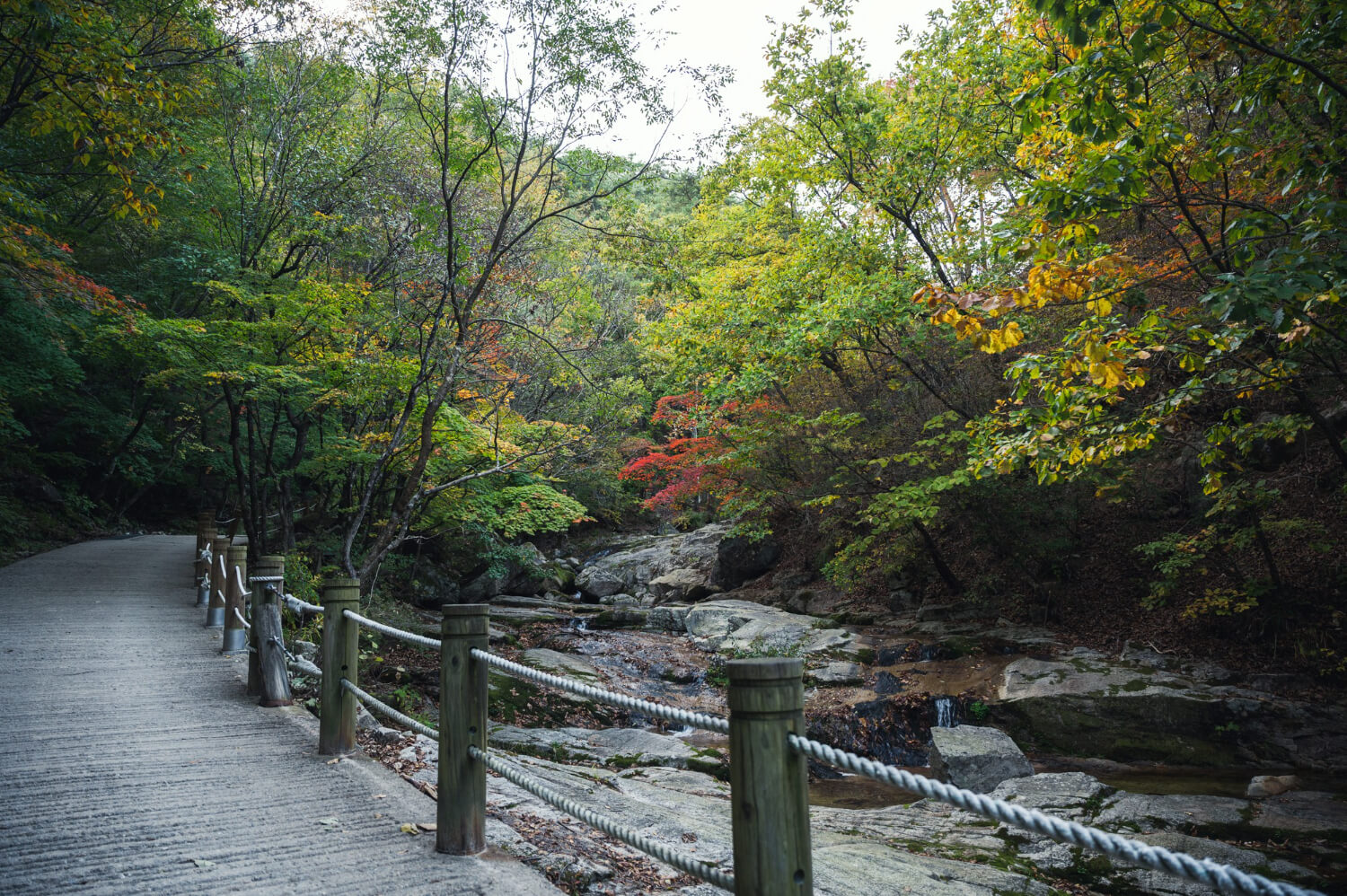 2025 화담숲 예약 방법