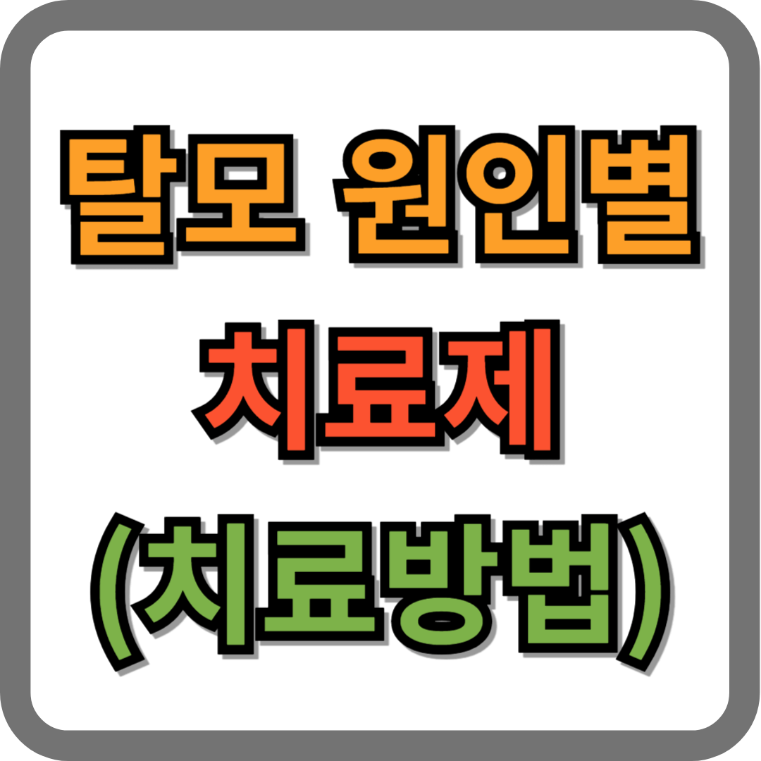 탈모 원인별 치료제 (치료방법)