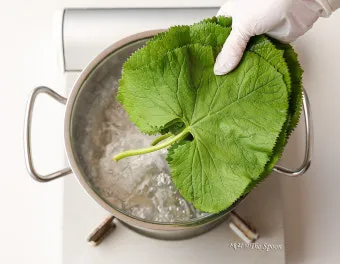 곰취 먹는방법 쌈 무침 장아찌 만드는법 요리 데치는방법_19