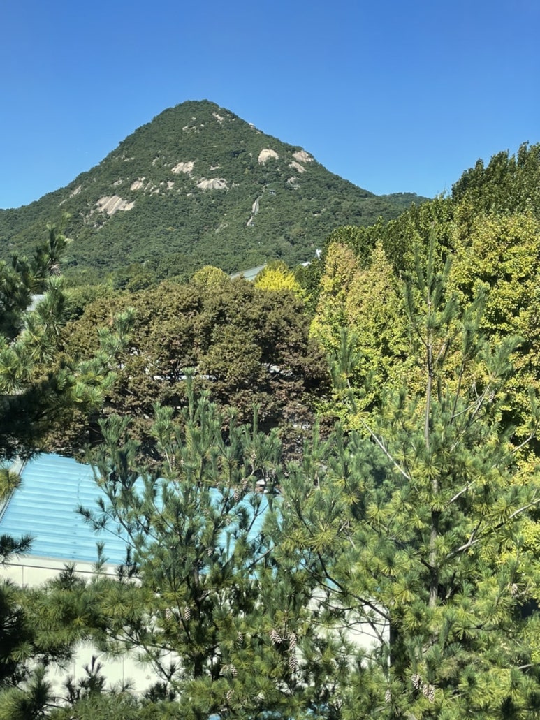 온지음에서 보는 풍경