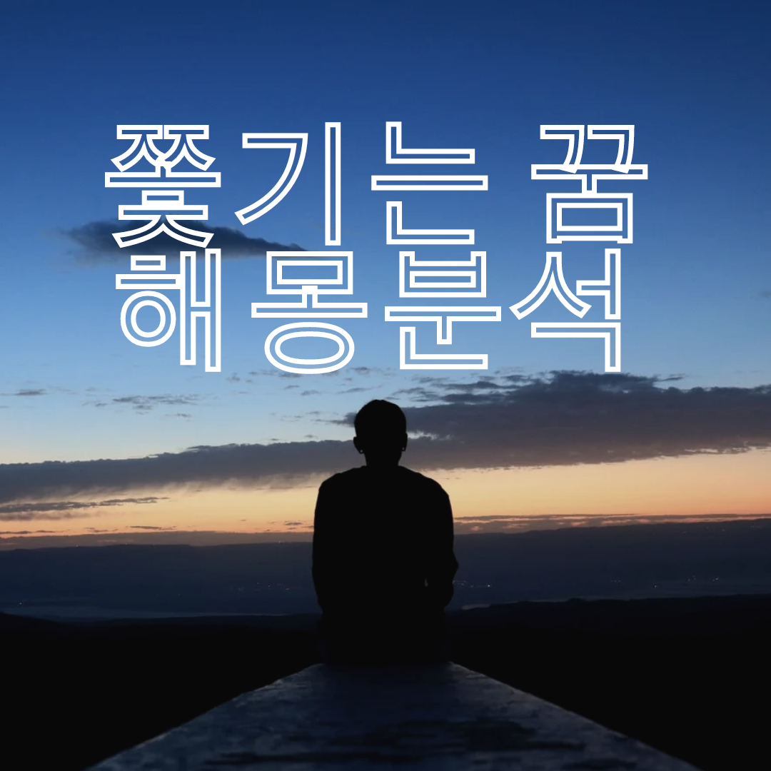 누군가에게 쫓기는 꿈,쫓끼는 꿈 해몽 분석