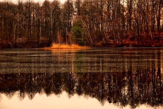 이천 원적산 등산코스 정개산 소당산 천덕봉 완벽 산행 가이드_8