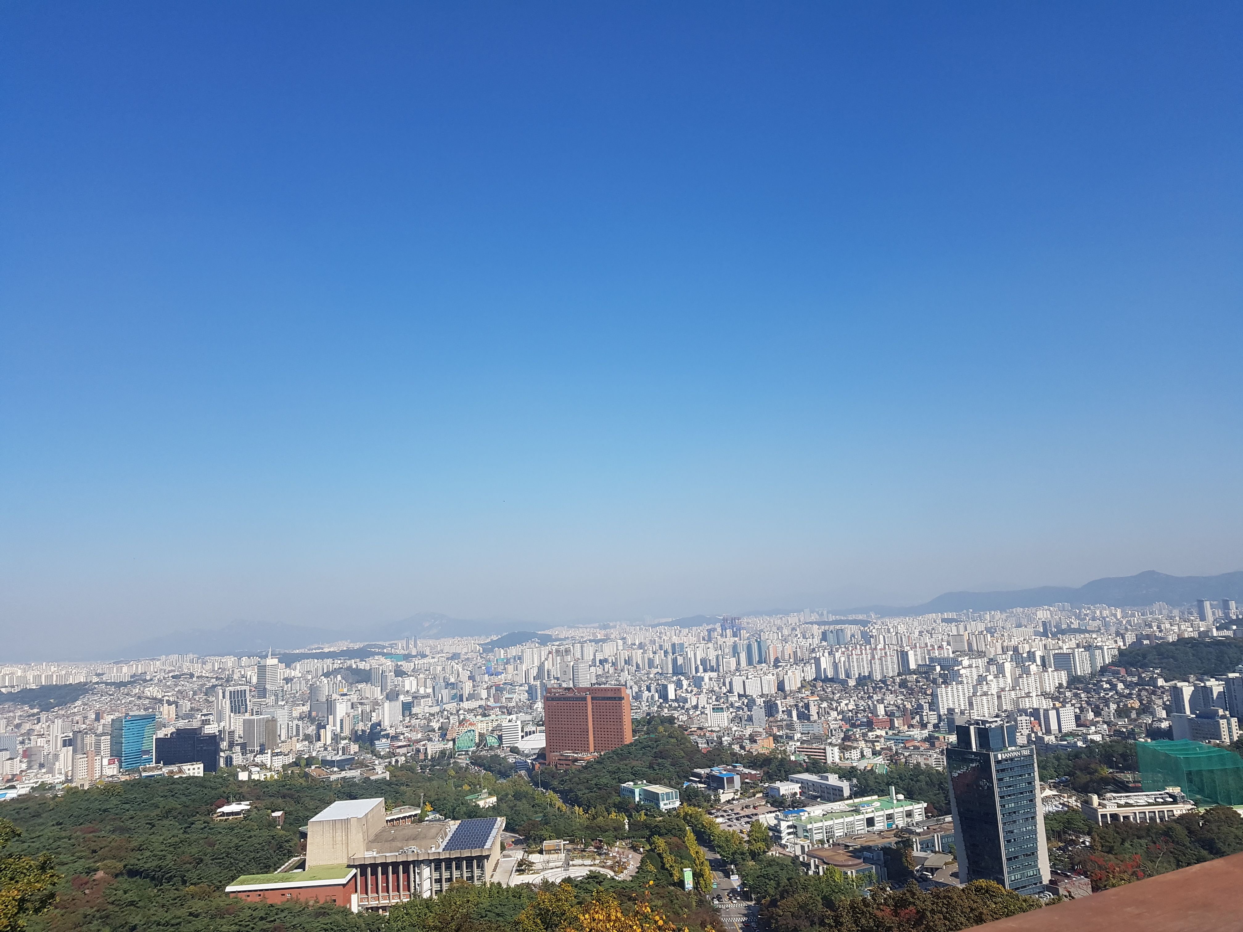 전세 사기 예방법 이미지