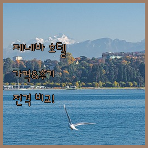 제네바 호텔 완벽 분석! 에덴, 나쉬