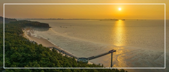 장항스카이워크 이미지