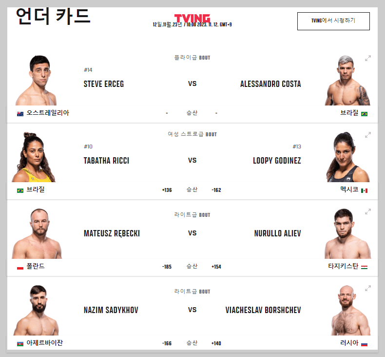 UFC 295 언더 카드