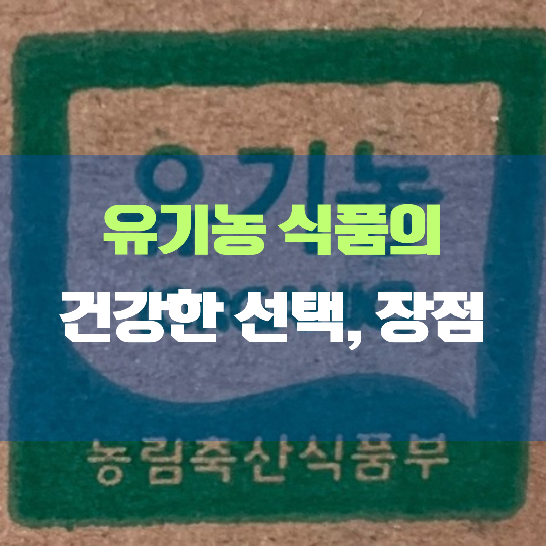 유기농 식품의 건강한 선택과 장점