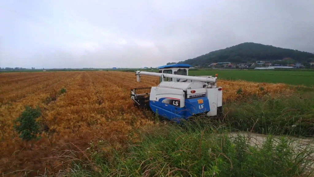 밭농사 한 해를 한눈에 — 보리, 감자, 고구마, 순무, 고추까지 2