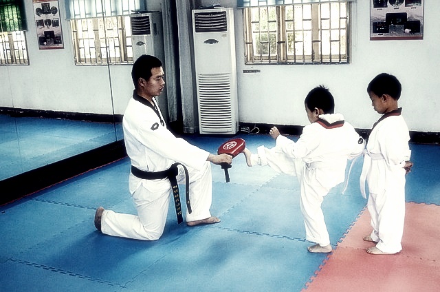 태권도 단증 조회