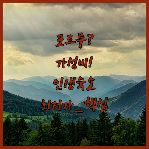 포르투 세도페이타 숙소 5곳 가성비 ..