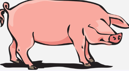 살색 귀여운 돼지 이미지 사진입니다.