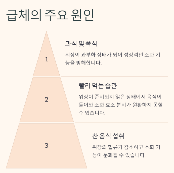 급체 증상