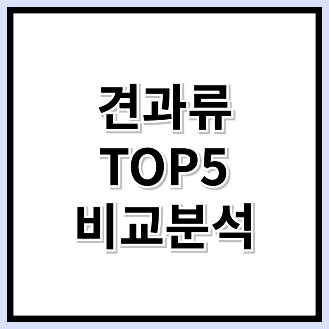 견과류 비교 가이드: 호두부터 마카다미아 칼로리 &amp; 효과 총정리