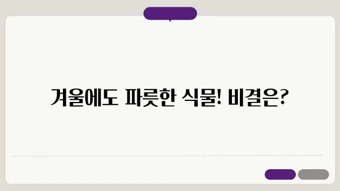 겨울철 실내 식물 관리 팁