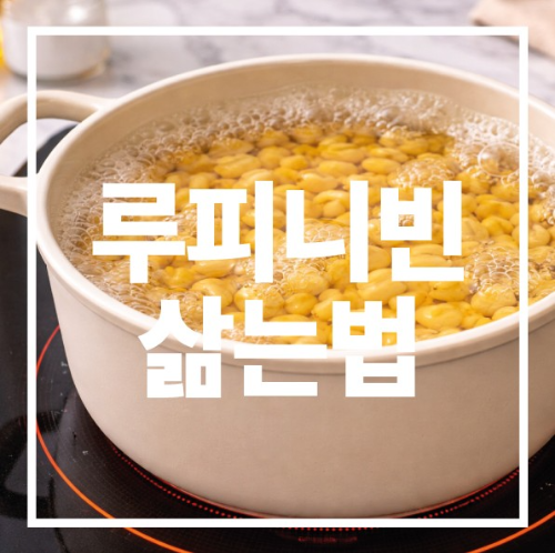 루피니빈 삶는법