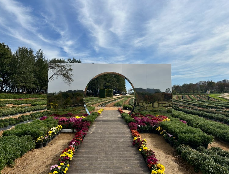 연천 국화축제