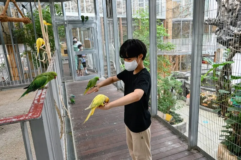 오산 버드파크 다녀온 후기 아이들 취향저격 동물 체험파크