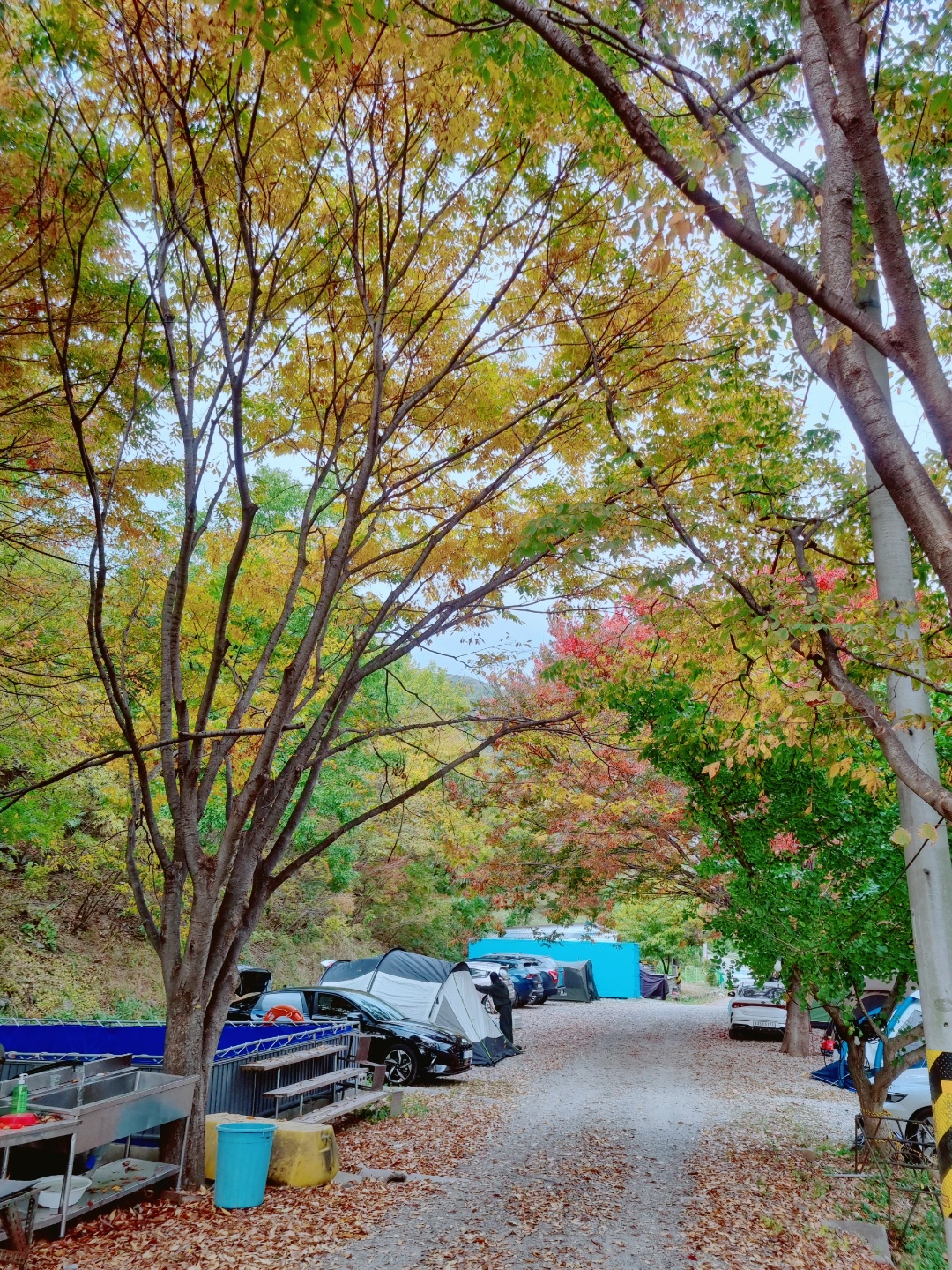화악산 캠핑장