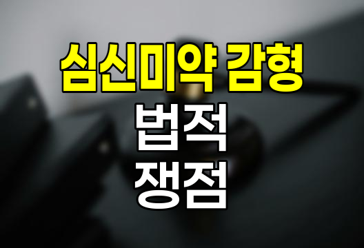 심신미약 감형의 법적 쟁점과 사회적 영향