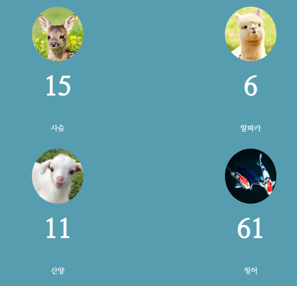 피나클랜드 튤립 수선화 봄꽃 축제 불꽃축제 산양 먹이주기 체험