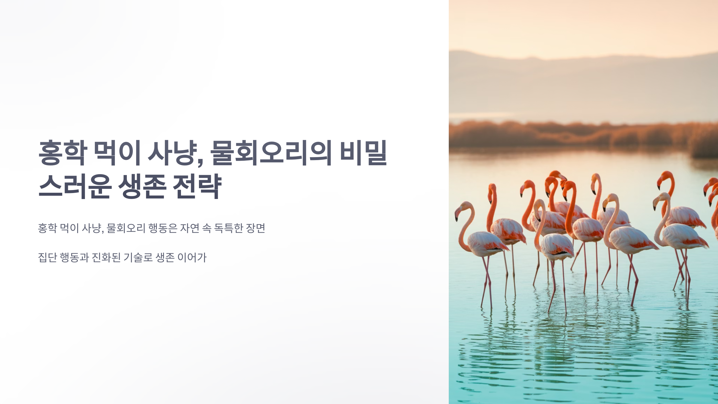 참조-홍학-먹이-사냥,-물회오리-1