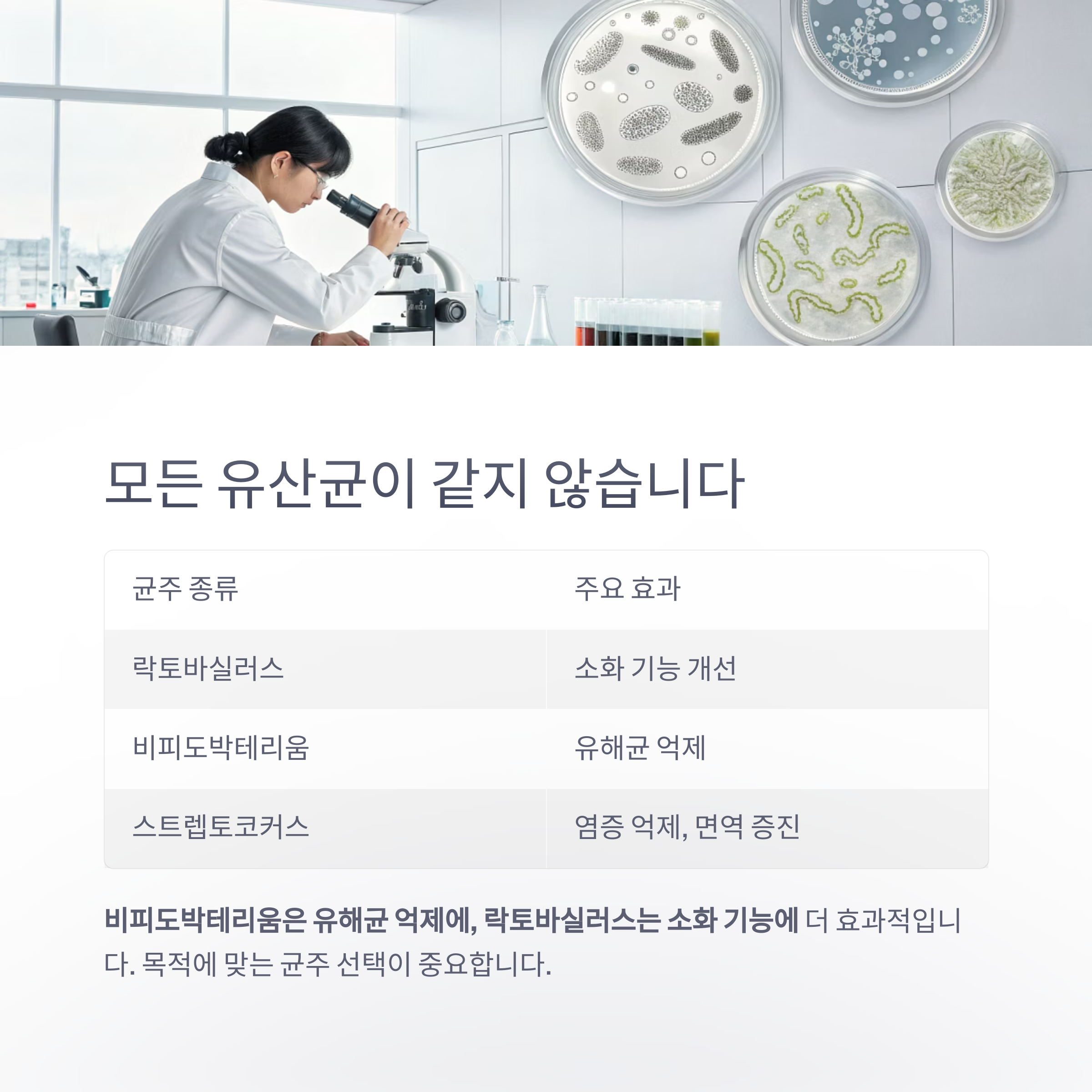 모든 유산균이 같지 않습니다